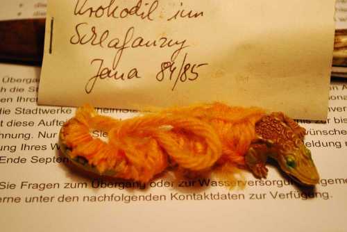 Krokodilimschlafanzug