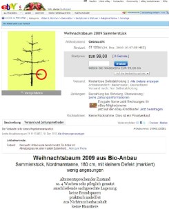 weihnachtsbaum_2009
