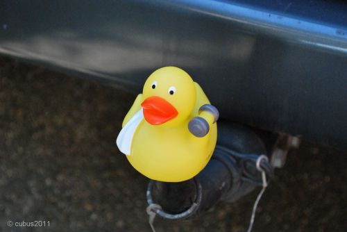 Fitness-kugel-ente-1