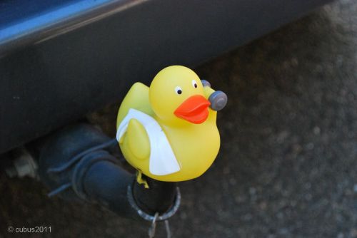 Fitness-kugel-ente-2