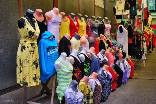 Polenmarkt_leknica_12