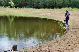 spremberger_stausee_04