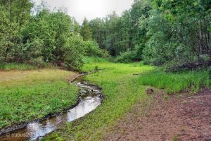 spremberger_stausee_09