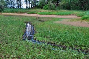 spremberger_stausee_11