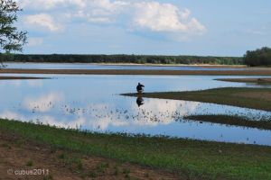 spremberger_stausee_13