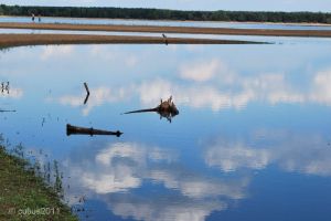 spremberger_stausee_14