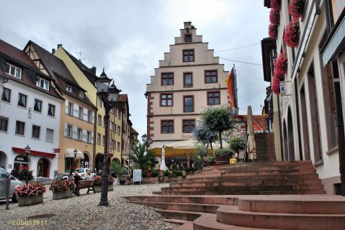 Endingen_06