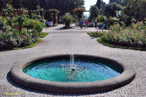 Mainau_1_24