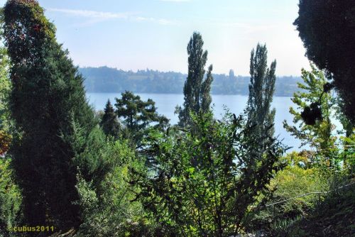 Mainau_1_28