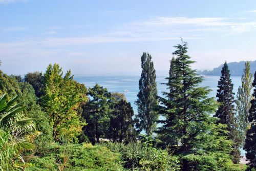 Mainau_1_30