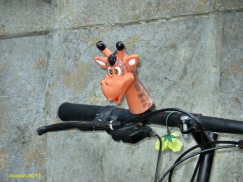 Freiburg-impressionen02