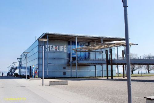 Sealife_konstanz_01