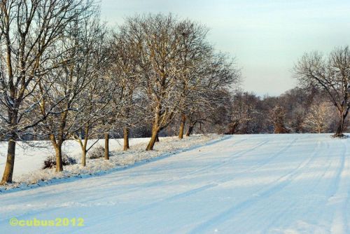 Schneespaziergang02