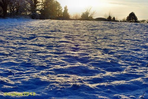 Schneespaziergang05
