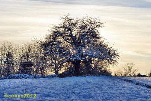 Schneespaziergang07