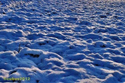 Schneespaziergang09