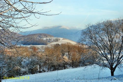 Schneespaziergang10