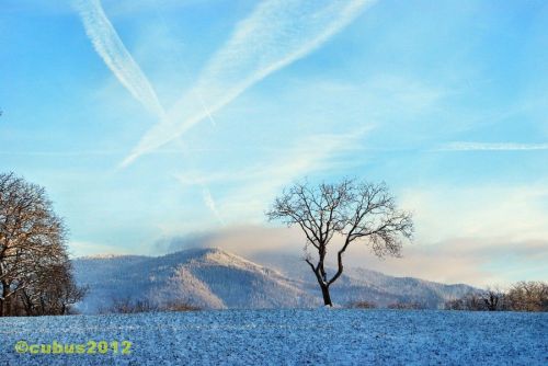 Schneespaziergang11
