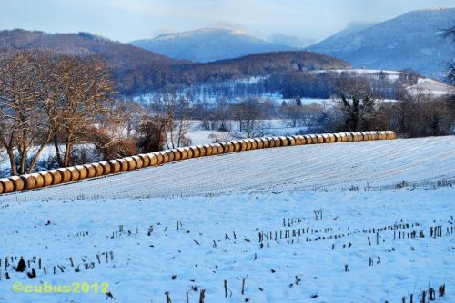 Schneespaziergang12